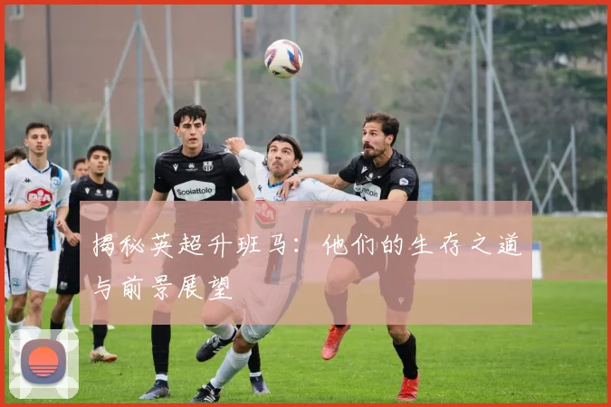 揭秘英超升班马：他们的生存之道与前景展望